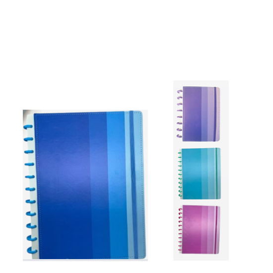 AGENDA INTELIGENTE 23X29,7CM DIÁRIOS